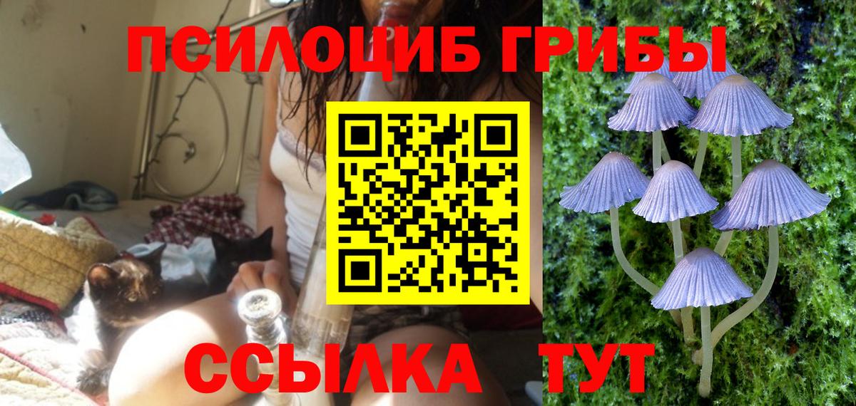 Галлюциногенные грибы Cubensis Сертолово